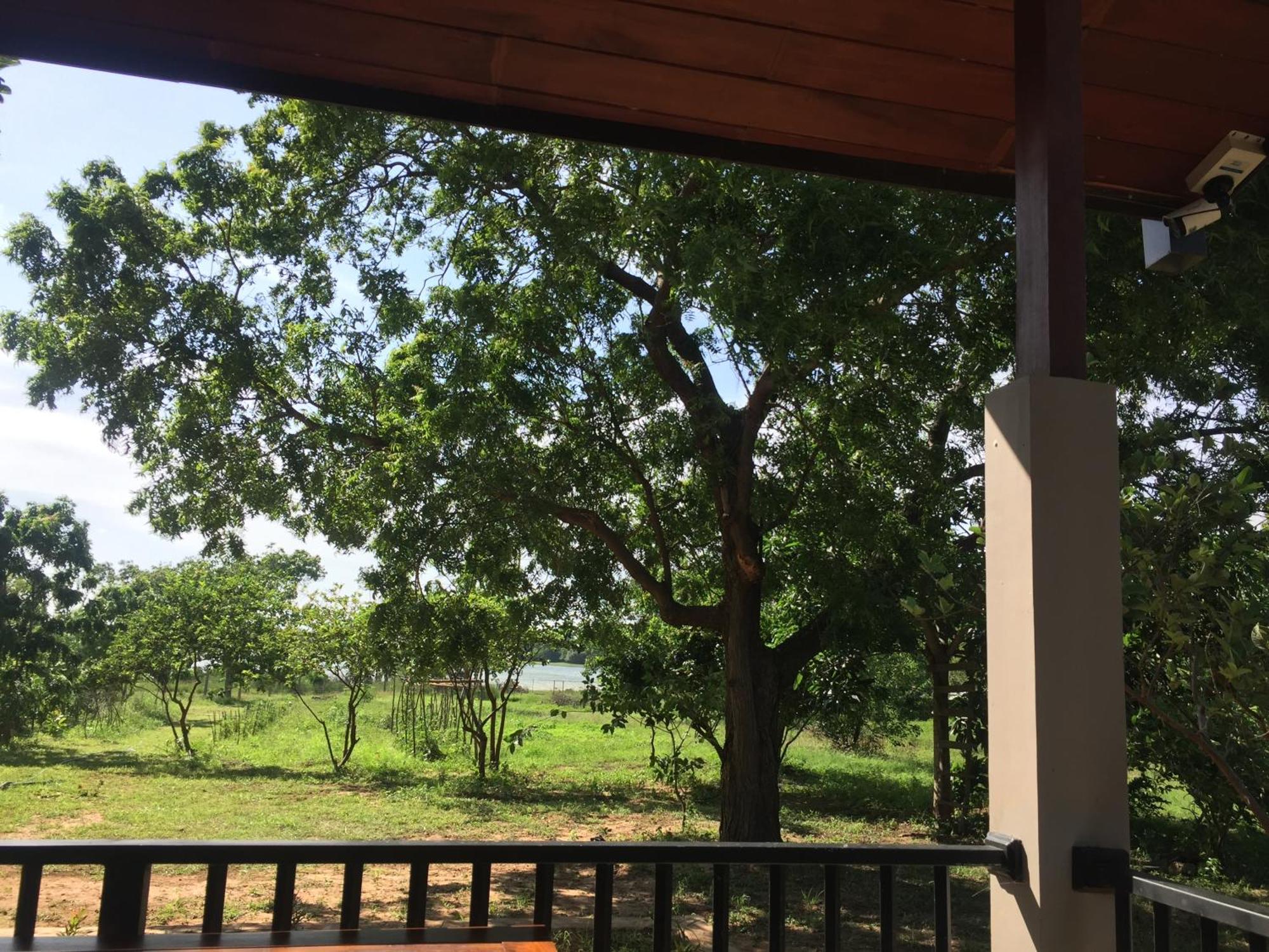 Saffron Lake Yala Tissamaharama Exterior foto